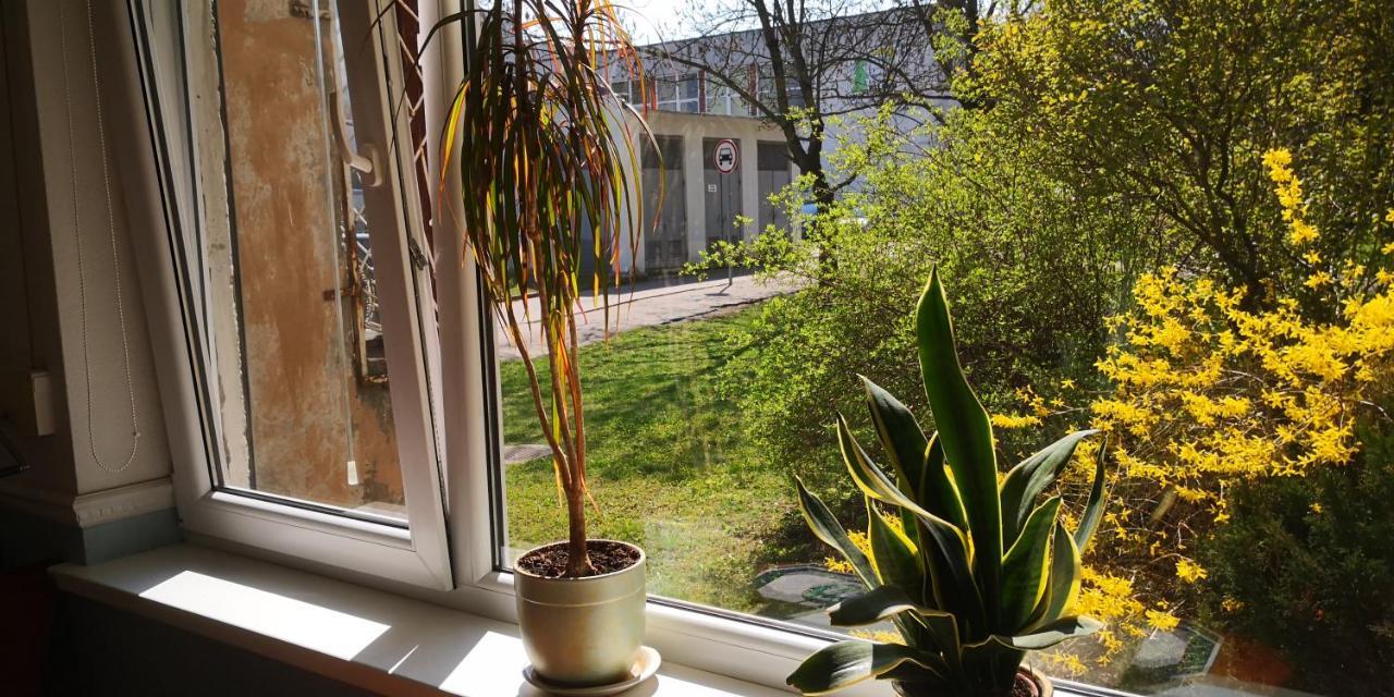 Kambariu Nuoma Kaune - Kaunas Exterior foto
